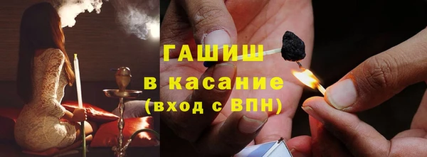 шишки Краснотурьинск