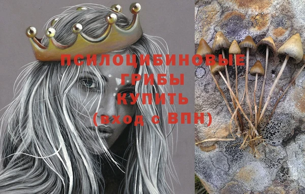 шишки Краснотурьинск