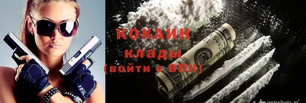 шишки Краснотурьинск